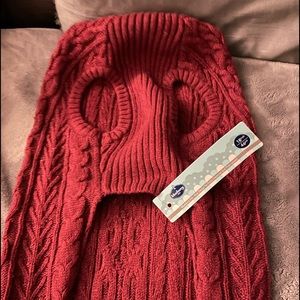 Blueberry dog outfit